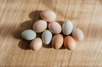 Les meilleures sources de protéines naturelles accessibles à tous